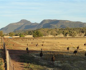 Tooraweenah NSW Tourism Adelaide
