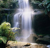 Mount Buangor State Park - Tourism Adelaide