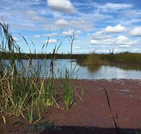 Gwydir Wetlands - Tourism Adelaide