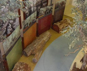 Barmah Forest Heritage And Education Centre - Tourism Adelaide 4