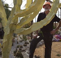Cactus Country - Tourism Adelaide