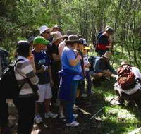 Warrumbungle National Park Discovery Program - Tourism Adelaide