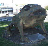 Big Cane Toad - Tourism Adelaide