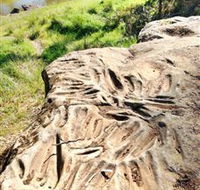Terramungamine Rock Grooves - Tourism Adelaide