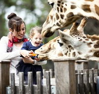 Taronga Western Plains Zoo Dubbo - Tourism Adelaide