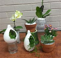 Cobram Florist - Tourism Adelaide