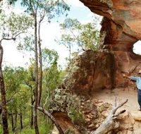 Pilliga National Park - Tourism Adelaide