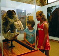 Australian Museum Diprotodon Exhibition - Tourism Adelaide
