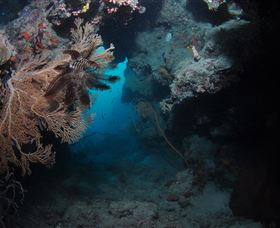 Luncheon Bay Dive Site - Tourism Adelaide 2