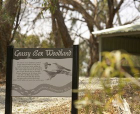 Coolamon NSW Tourism Adelaide