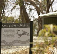 Kindra Forest - Tourism Adelaide