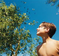 Birdwatching on Keswick Island - Tourism Adelaide