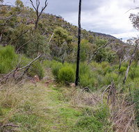 Lynchs loop trail - Tourism Adelaide