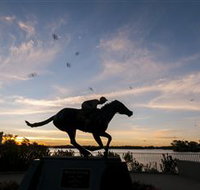 Black Caviar Statue - Tourism Adelaide