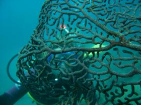 Fairey Reef - Tourism Adelaide 3