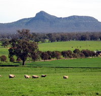 The Rock Nature Reserve - Tourism Adelaide
