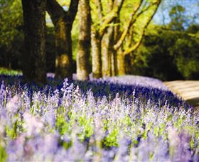 Duneira, Mt Macedon - Tourism Adelaide 4