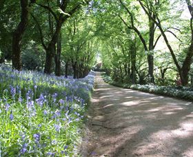 Duneira, Mt Macedon - Tourism Adelaide 3