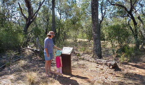 Deriah Aboriginal Information Bay - Tourism Adelaide 1