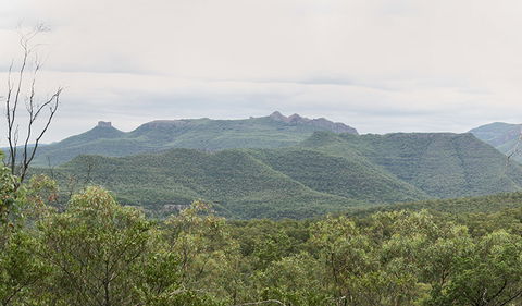 Deriah Aboriginal Information Bay - Tourism Adelaide 3