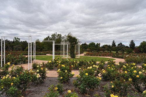 Buronga NSW Tourism Adelaide