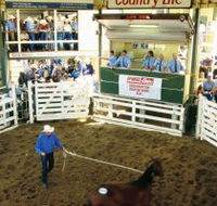 Gracemere Exhibition Complex - Tourism Adelaide