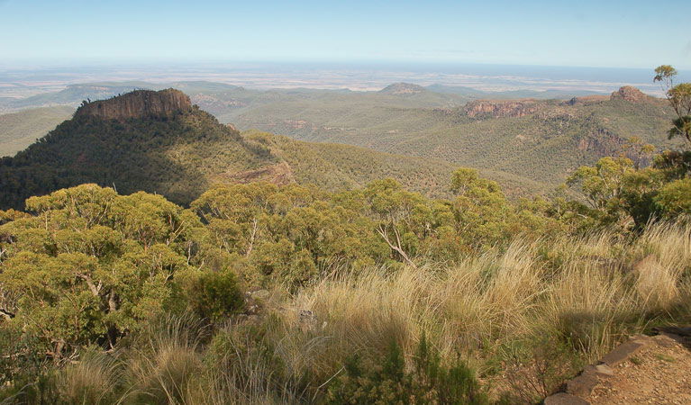 Kaputar NSW Tourism Adelaide