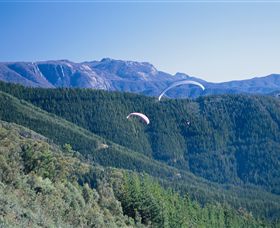 Buffalo Brewery - Tourism Adelaide 0