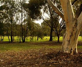 Benalla Golf Club - Tourism Adelaide 2