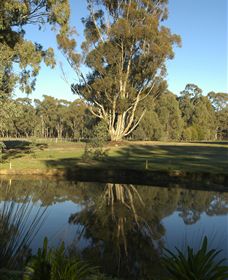 Benalla Golf Club - Tourism Adelaide 5