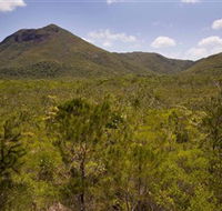Kutini-Payamu Iron Range National Park CYPAL - Tourism Adelaide