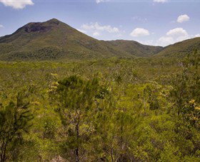Kutini-Payamu (Iron Range) National Park (CYPAL) - Tourism Adelaide 0