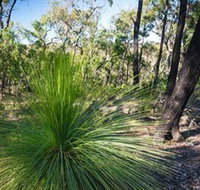 Brisbane Ranges National Park - Tourism Adelaide