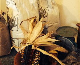 Cootamundra NSW Tourism Adelaide