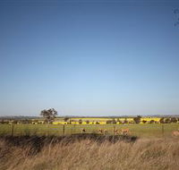 Cootamundra Bird Walk - Tourism Adelaide