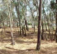 Chiltern-Mt Pilot National Park - Tourism Adelaide