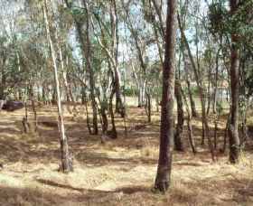 Chiltern-Mt Pilot National Park - Tourism Adelaide 0