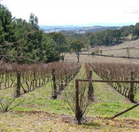 Habitat Vineyard - Tourism Adelaide
