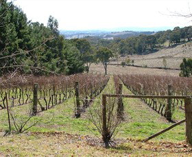 Habitat Vineyard - Tourism Adelaide 0