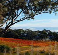 Bloodwood Estate - Tourism Adelaide