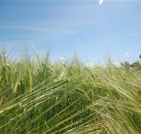 150 Degrees East Meridian - Tourism Adelaide