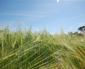 150 Degrees East Meridian - Tourism Adelaide 0