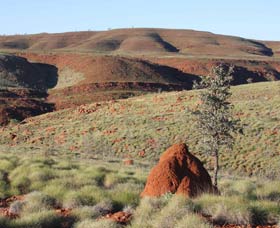 Camel Trail, Millstream-Chichester National Park - Tourism Adelaide 0
