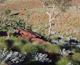 Camel Trail, Millstream-Chichester National Park - Tourism Adelaide 2