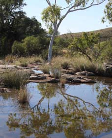 Camel Trail, Millstream-Chichester National Park - Tourism Adelaide 3