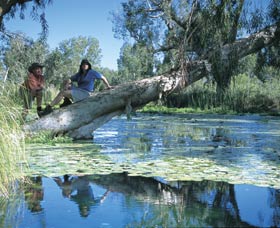Millstream Chichester National Park - Tourism Adelaide 1