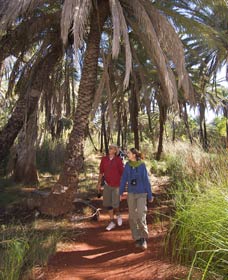 Millstream Chichester National Park - Tourism Adelaide 2