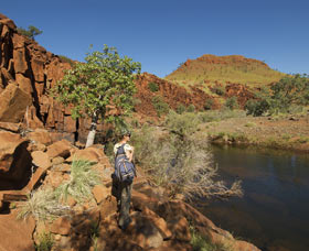 Millstream Chichester National Park - Tourism Adelaide 3