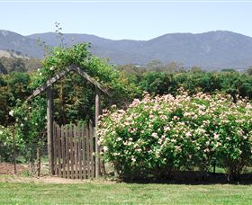 Samaria Farm - Tourism Adelaide 2