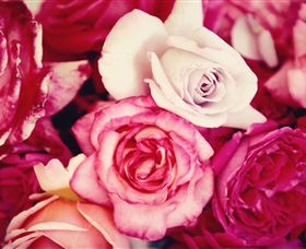 Samaria Farm - Tourism Adelaide 1